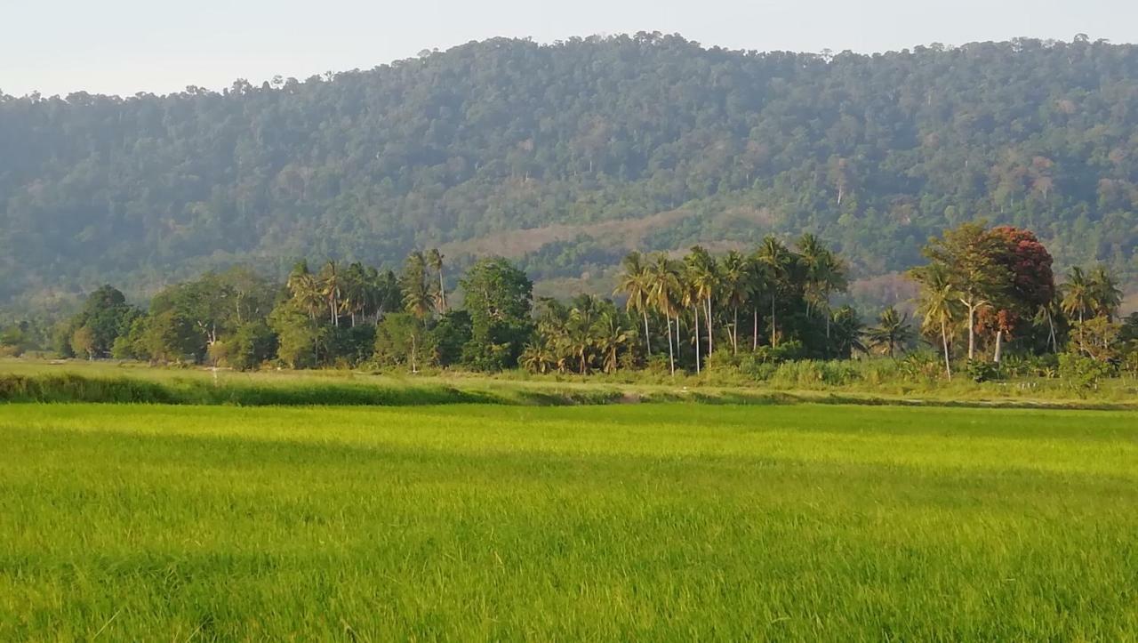 Sabandy House B&B Padang Mat Sirat 외부 사진